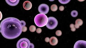 cancer chemicals under a microscope